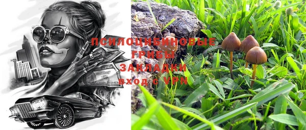 прущий лед Богданович