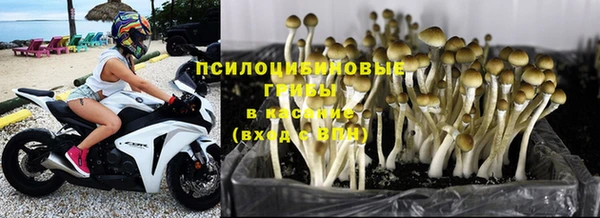 ECSTASY Аркадак