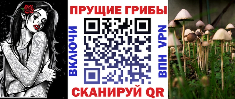 магазин    Удачный  Псилоцибиновые грибы прущие грибы 
